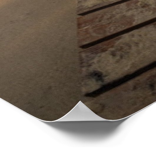 夏の木道と海 ポスター (角)