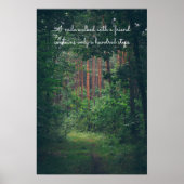 夏の松林の道 ポスター (正面)