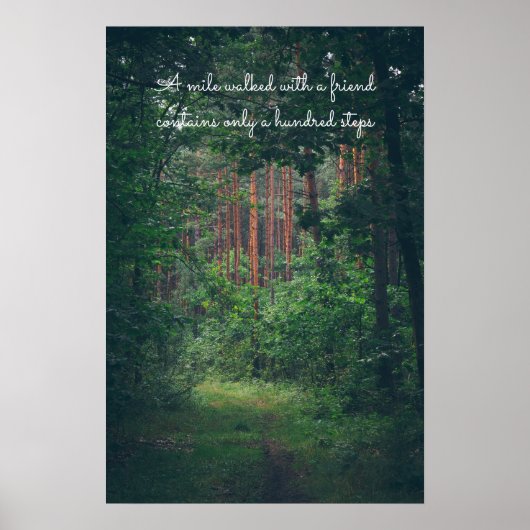 夏の松林の道 ポスター (正面)