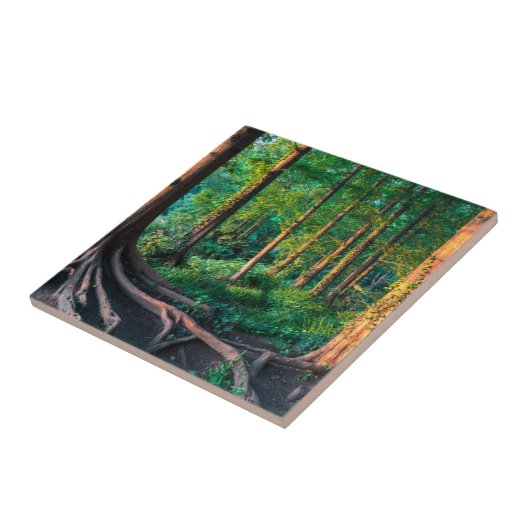 夏の森林 タイル (側面)