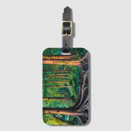 夏の森林 ラゲッジタグ (正面縦)