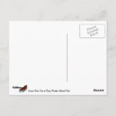 夏の樺の木の木アットロッキーマウンテン ポストカード (裏面)