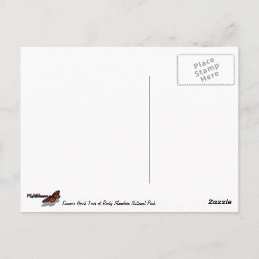 夏の樺の木の木アットロッキーマウンテン ポストカード (裏面)