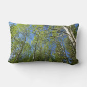 夏の樺の木の木アットロッキーマウンテン ランバークッション (裏面)