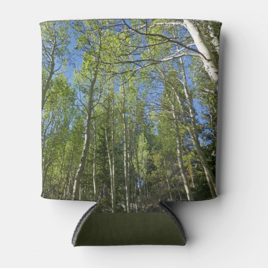 夏の樺の木の木アットロッキーマウンテン 缶クーラー (正面)