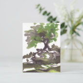 夏の水の色の木 ポストカード (スタンド正面)