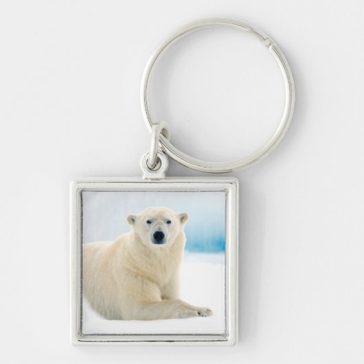 夏の氷の上に成虫のホッキョクグマの大きな猪 キーホルダー (正面)