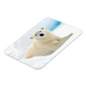 夏の氷の上に成虫のホッキョクグマの大きな猪 マグネット (左側)