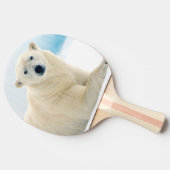 夏の氷の上に成虫のホッキョクグマの大きな猪 卓球ラケット (横)