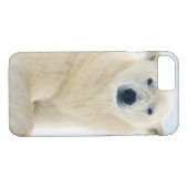 夏の氷の上に成虫のホッキョクグマの大きな猪 Case-Mate iPhoneケース (裏面(横))