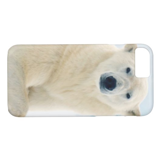 夏の氷の上に成虫のホッキョクグマの大きな猪 Case-Mate iPhoneケース (裏面(横))