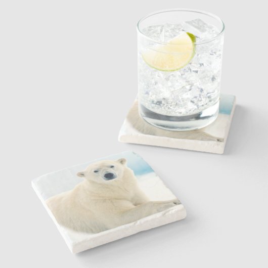 夏の氷の大人の白くまの大きい雄豚 ストーンコースター (横)