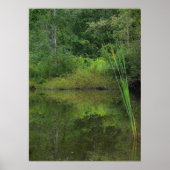 夏の池 ポスター (正面)