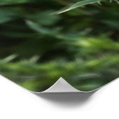 夏の活動 ポスター (角)