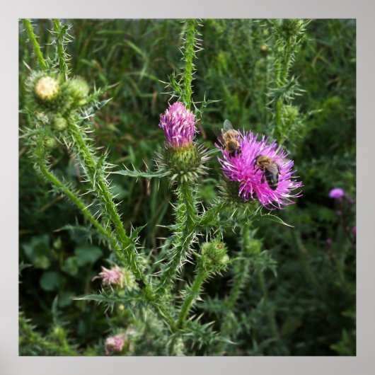 夏の活動 ポスター (正面)
