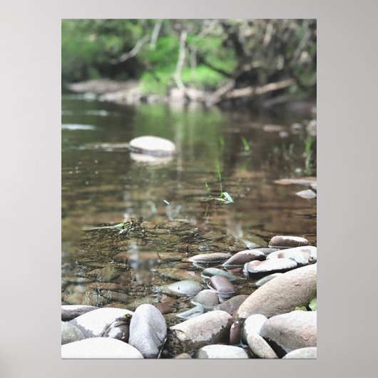 夏の流れ写真穏やかな穏やかなシーン ポスター (正面)