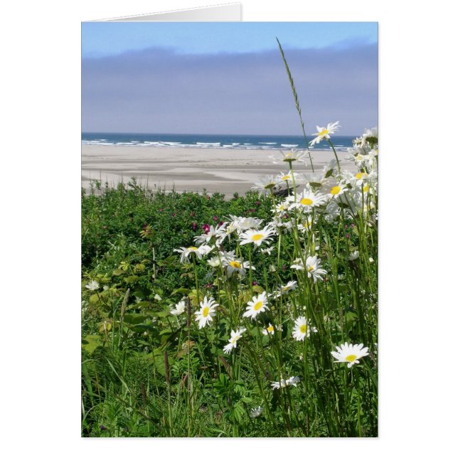 夏の海デイジー (正面)