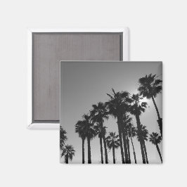 夏の海パームスブラック&ホワイト写真 マグネット