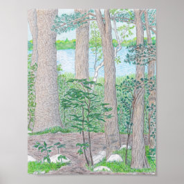 夏の湖とウッズカラーペンシルスケッチ ポスター