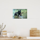 夏の湿地の黒いクマの子房 ポスター (キッチン)