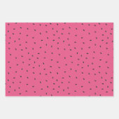 夏の熱帯スイカの果実 ラッピングペーパーシート (正面3)