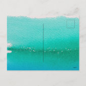 夏の熱帯性パイナップル果実 シーズンポストカード (裏面)