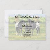 夏の牧場にいる黒のアプリルーサ馬 招待状 (裏面)