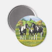 夏の牧絵を描場での黒いピントの四分の一馬 マグネット (正面/裏面)