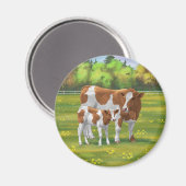 夏の牧草地でガーンジー牛と可愛い子牛 マグネット (正面/裏面)
