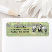 夏の牧草地でダップル·グレ絵を描ー·ピント·ウマ ラベル (インサイチュ)