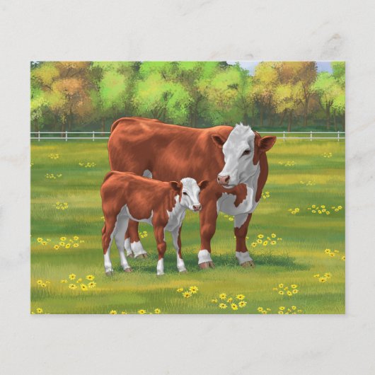 夏の牧草地でヘレフォードカウカフカートカーフ (正面)