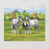 夏の牧草地で絵を描のリンゴ灰色の馬 (裏面)