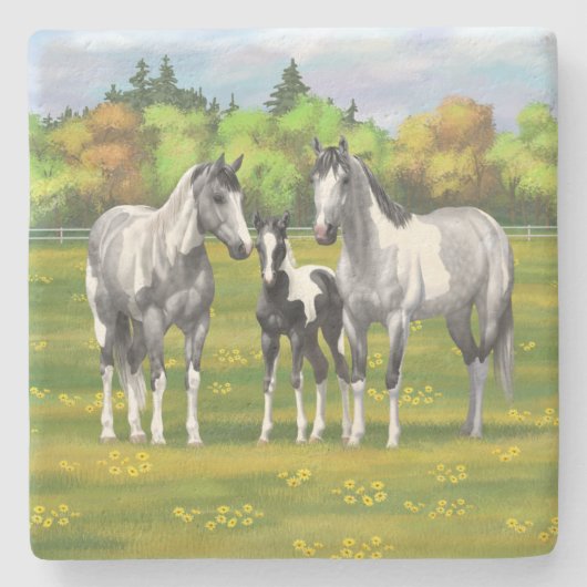 夏の牧草地で絵を描のリンゴ灰色の馬 ストーンコースター (正面)