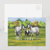 夏の牧草地で絵を描のリンゴ灰色の馬 ポストカード (正面/裏面)