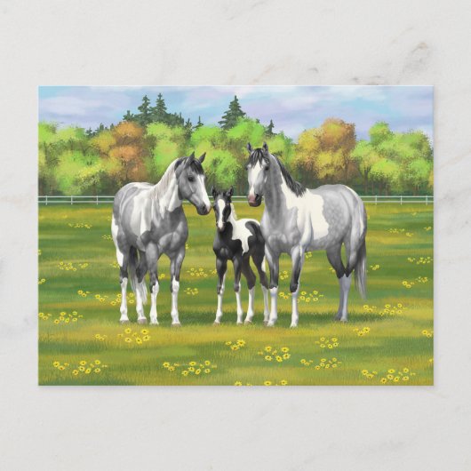 夏の牧草地で絵を描のリンゴ灰色の馬 ポストカード (正面)