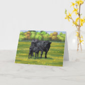 夏の牧草地に黒アンガスカウカワイカフカーフ カード (黄色い花)