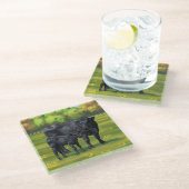 夏の牧草地に黒アンガスカウカワイカフカーフ ガラスコースター (アングル)