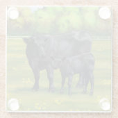 夏の牧草地に黒アンガスカウカワイカフカーフ ガラスコースター (裏面)