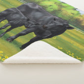 夏の牧草地に黒アンガスカウカワイカフカーフ シェルパブランケット (3/4)