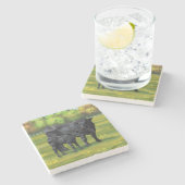 夏の牧草地に黒アンガスカウカワイカフカーフ ストーンコースター (横)