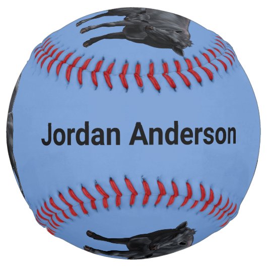 夏の牧草地に黒アンガスカウカワイカフカーフ ソフトボール (正面)