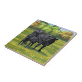 夏の牧草地に黒アンガスカウカワイカフカーフ タイル (側面)