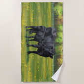 夏の牧草地に黒アンガスカウカワイカフカーフ ビーチタオル (正面)