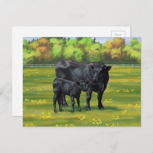 夏の牧草地に黒アンガスカウカワイカフカーフ ポストカード (正面/裏面)