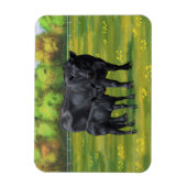 夏の牧草地に黒アンガスカウカワイカフカーフ マグネット (縦)