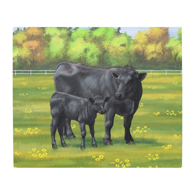 夏の牧草地に黒アンガスカウカワイカフカーフ メタルプリント (正面)