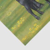 夏の牧草地に黒アンガスカウカワイカフカーフ 薄葉紙 (詳細)