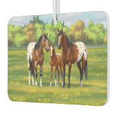 夏の牧草地のブラウンベイアパロオーサ馬 カーエアーフレッシュナー (左)