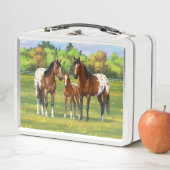 夏の牧草地のブラウンベイアパロオーサ馬 メタルランチボックス (インサイチュ)