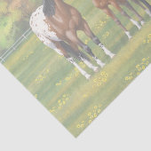 夏の牧草地のブラウンベイアパロオーサ馬 薄葉紙 (詳細)